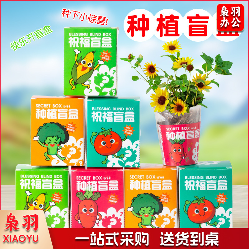 种植盲盒儿童植物盆栽小盆栽幼儿园观察植物小学生种子迷你（种植植物盲盒）
