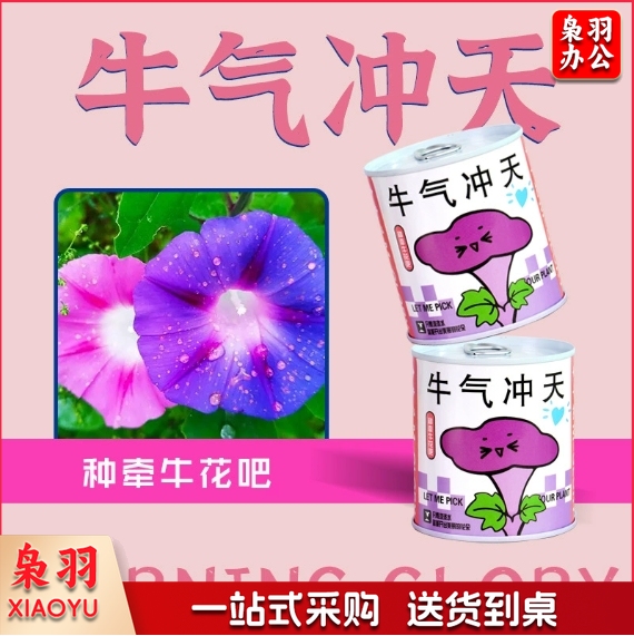 儿童种植易拉罐盆栽绿植盲盒幼儿园小学生植物生长观察发芽种子（任选款式）