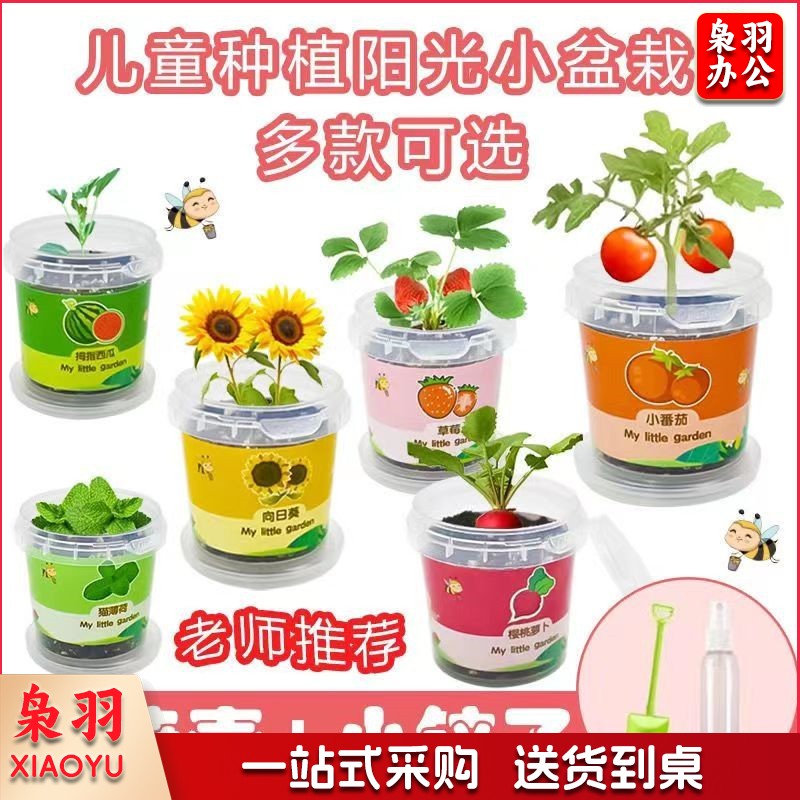 儿童种植小盆栽太阳花向日葵草莓花种籽子植物生长观察蔬菜种子（大塑罐+喷壶+小铲）