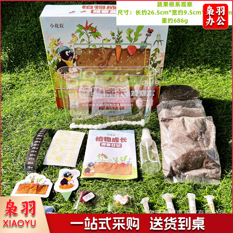 幼儿园学生劳动课学种植物根系生长透明观察盒儿童菜种子发芽记录（蔬果根系-种植套装）