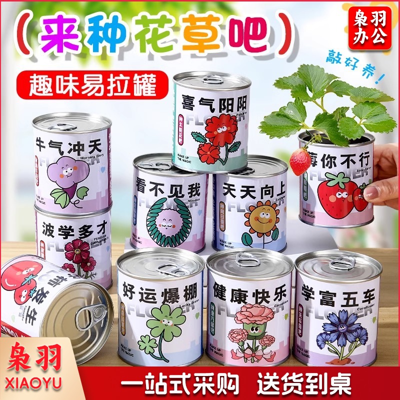 儿童易拉罐种植小盆栽幼儿园小礼物桌面61儿童节种子学生趣味绿植（为你种草）