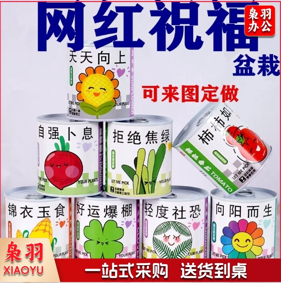 儿童种植易拉罐盆栽绿植盲盒幼儿园小学生植物生长观察发芽种子（任选款式）