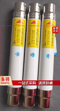 高压熔断器XRNP-40.5/1