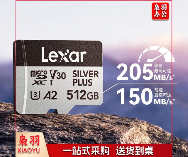 雷克沙（Lexar）512GB TF（MicroSD）存储卡 V30 4K 读205MB/s