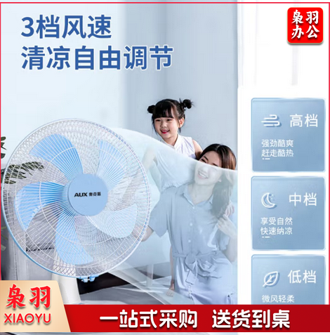 奥克斯（AUX） 电风扇/台扇FT-30-B1202/转页扇摇头台式桌面风扇
