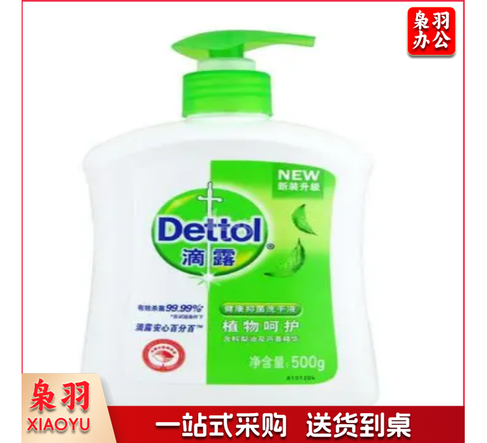 滴露健康抑菌洗手液自然清新500g
