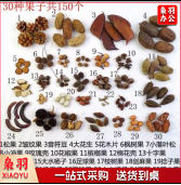 混装果子自然物 30种果子（150个）