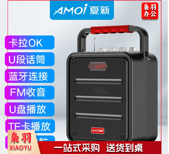 夏新(AMOI) 无线蓝牙音箱户外大音量广场舞音响小型家用收音机手提便携式带麦克风闪光彩灯地摊摆摊喇 A6黑色蓝牙升级版+无线话筒+背带 标配无歌曲卡点歌本