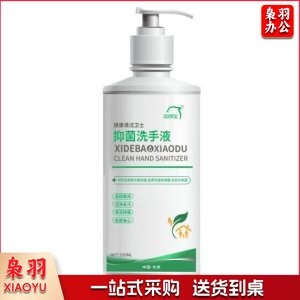 洗得宝 抑菌洗手液 家用杀菌消毒 500ml