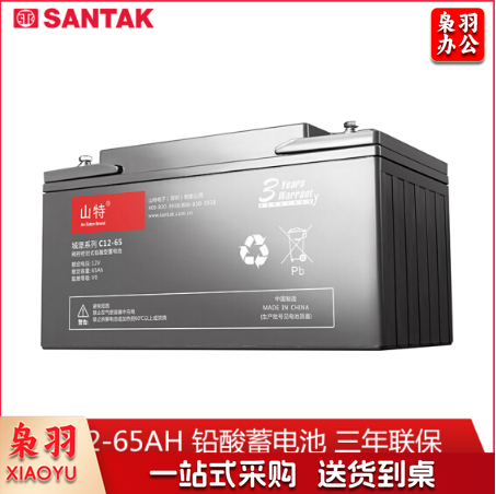 山特（SANTAK）C12-65AH 山特UPS电源电池免维护铅酸蓄电池 12V65AH