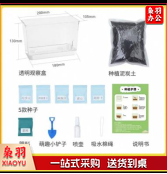 儿童植物观察盆