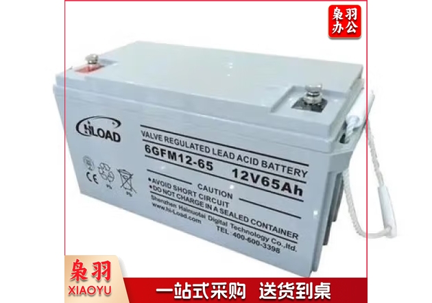 海诺泰（HLOAD）12V65AH 电池 UPS蓄电池 不含安装
