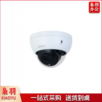 大华 400万星光红外定焦半球网络摄像机POE供电 DH-IPC-HDBW3433R-SA 焦距3.6mm