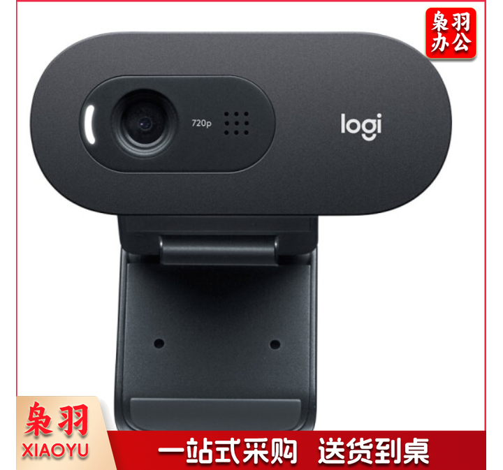 罗技(Logitech)C505e高清摄像头 家用摄像头 电脑摄像头 台式机摄像头 网课教学 网络课程会议摄像头