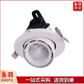 雷士(NVC)LED嵌入式翻转射灯筒灯NLED 622D 20W-开孔120MM-白光