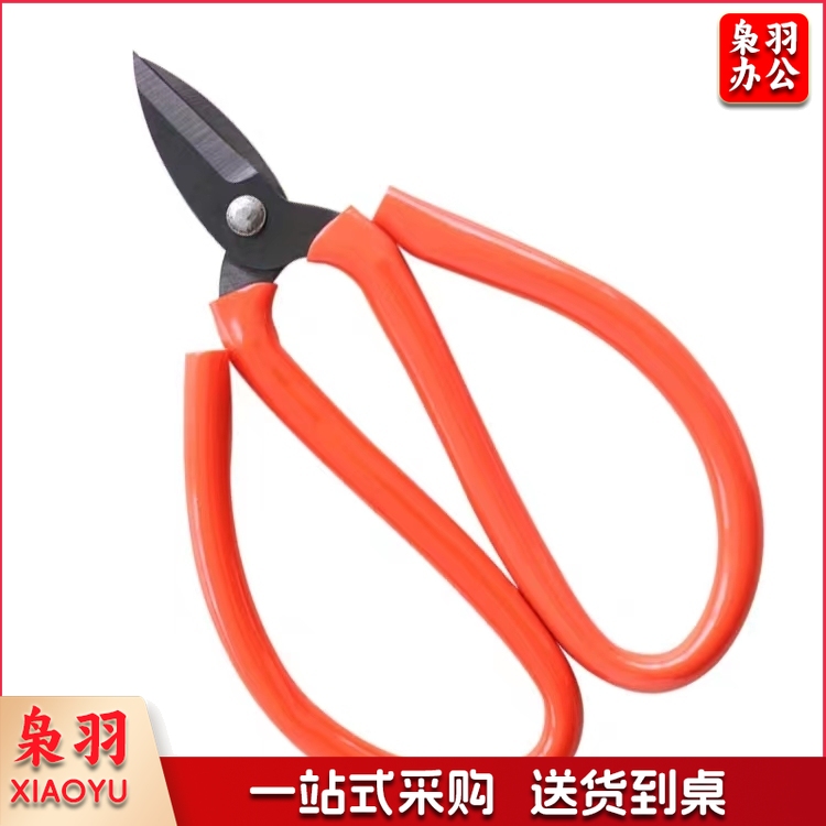 小剪刀剪线鱼头小剪刀