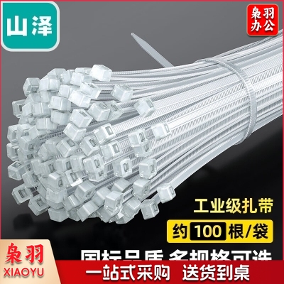 山泽 SAMZHE ZD-15 自锁式尼龙扎带 大号 3.6*250mm 阻燃理线带 捆扎带 束线扎线绑带 白色 100根/包