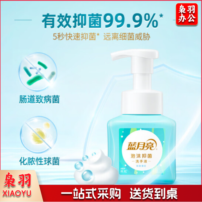 蓝月亮泡沫抑菌洗手液(鲜果薄荷)255ml 长效抑菌99.9% 淡雅留香 泡沫绵密