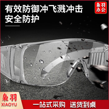 得力（deli）护目镜工业劳保防护眼镜 防风沙防飞溅防尘眼镜户外骑行眼镜 防冲击可带眼镜应急常备 DL522012