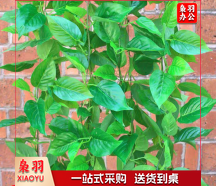 仿真绿叶 绿萝叶