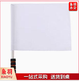 检查旗 白色检查旗