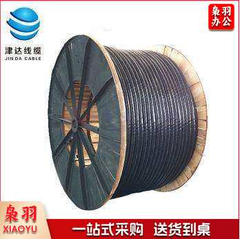 津达线缆 zc-yjv22 4*25+1*16 每米价