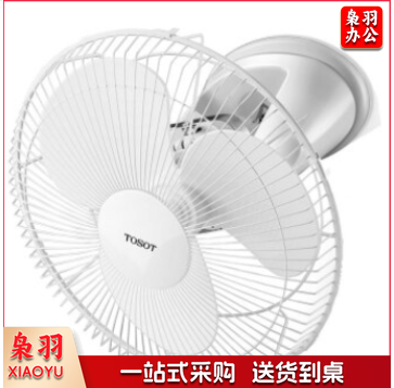 格力(GREE) FSLD-40楼顶扇 摇头扇 吸顶扇(不含安装)