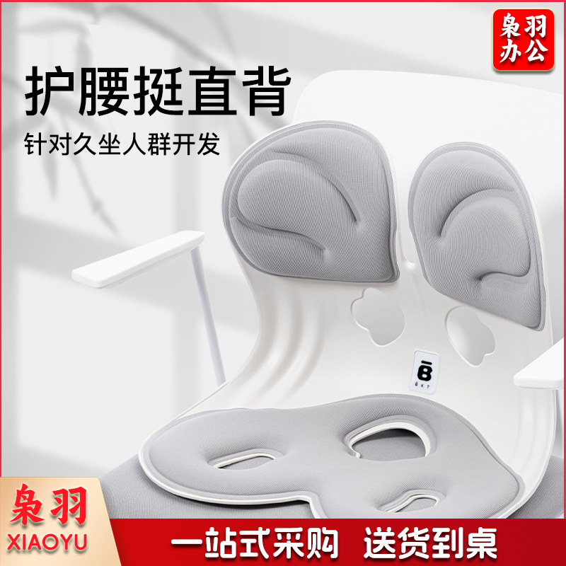 BKT护腰坐垫 靠背人体工学坐姿椅腰托(含定制座套)