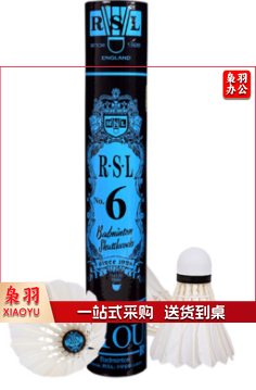 亚狮龙6号羽毛球