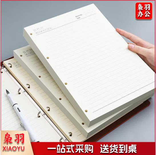 活页本替换内芯（80页/包）-