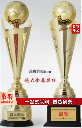 金属奖杯 （A/B款 高度约65cm)