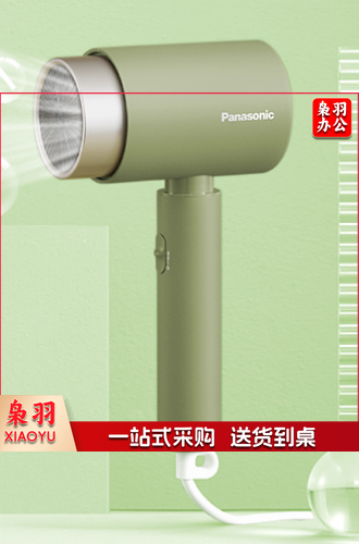 松下（Panasonic）电吹风机大功率高速大风力速干便携送学生宿舍用负离子护发不伤发电吹风筒EH-WNE5H礼盒款绿