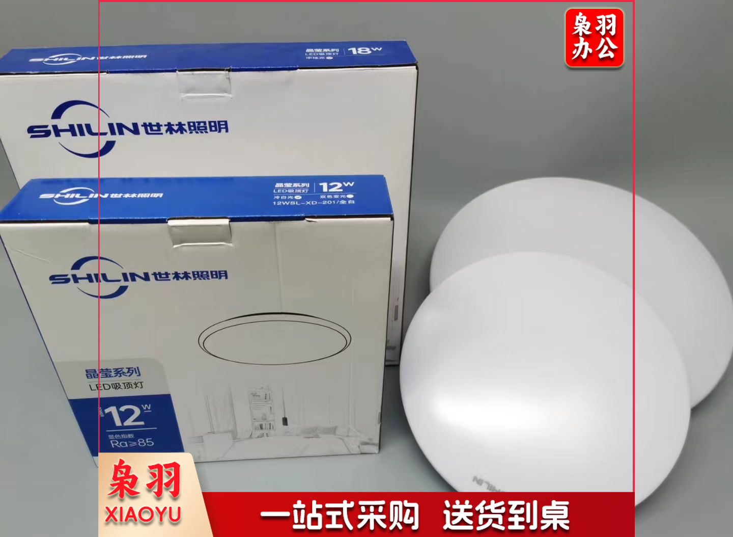 世林 吸顶灯 含灯芯