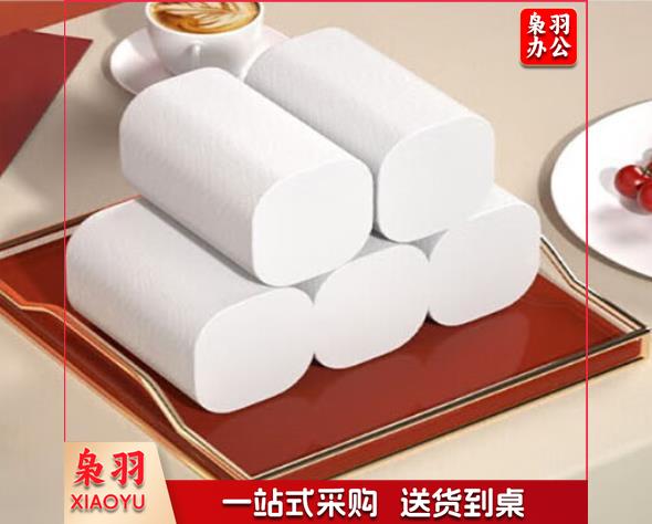 卷纸 10卷1提（CX202308171035012813）