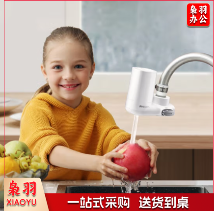 飞利浦（PHILIPS）AWP302 家用净水器原装高效除氯滤芯（适配设备AWP3600）