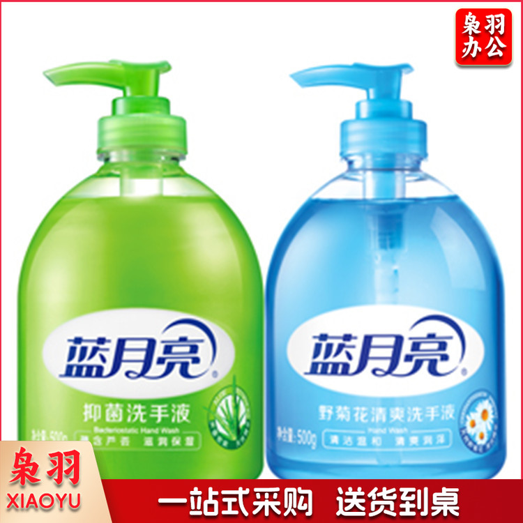蓝月亮 10000128 抑菌洗手液500g+野菊花洗手液500g 6组/箱