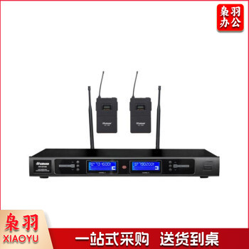 湖山DS-U310A一拖二无线领夹麦克