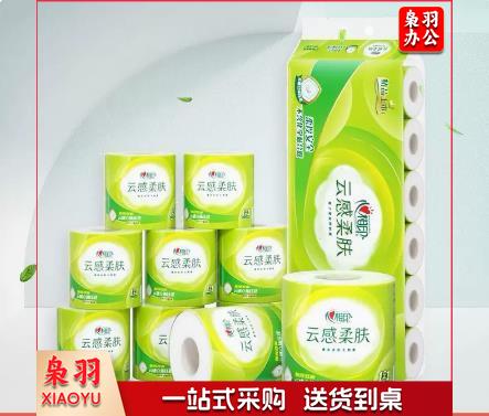 心相印 卫生纸 云感系列卫生纸 BT5410卫生纸 10卷*1提（150g/卷）卫生纸