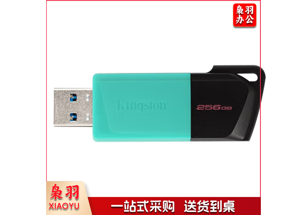 金士顿（Kingston）256GB USB3.2 Gen 1 U盘 DTXM 滑盖设计 多彩时尚