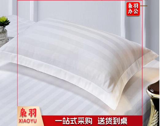 枕芯     尺寸45*70cm  单独枕芯   纯白