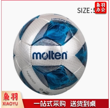 摩腾molten足球 5号标准比赛球FIFA公认手缝足球 F5A4800
