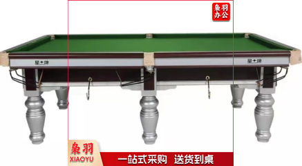 星牌（XING PAI）台球桌标准桌球台家用台球桌XW119-9A