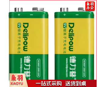 德力普（Delipow） 9V充电电池 9V锂电池充电套装 550mAh大容量6F22万用表麦克风 550mAh电池 单位：粒