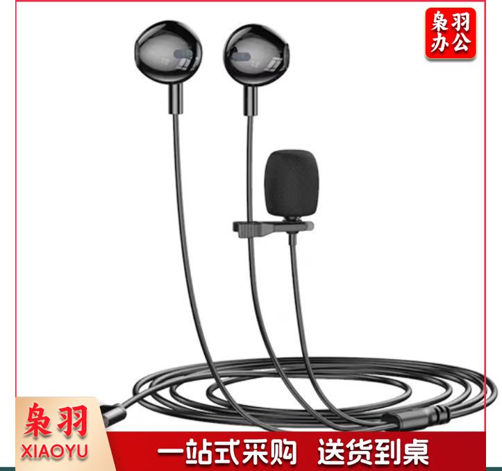 入耳式耳机 有线耳机 麦克风  二合一 TYPE-C 接口