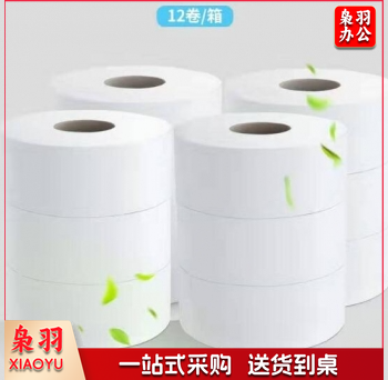 WP2240-01 卷纸 商用大盘纸卫生纸厕纸 2层*240米*12卷（整箱销售）QJ.441