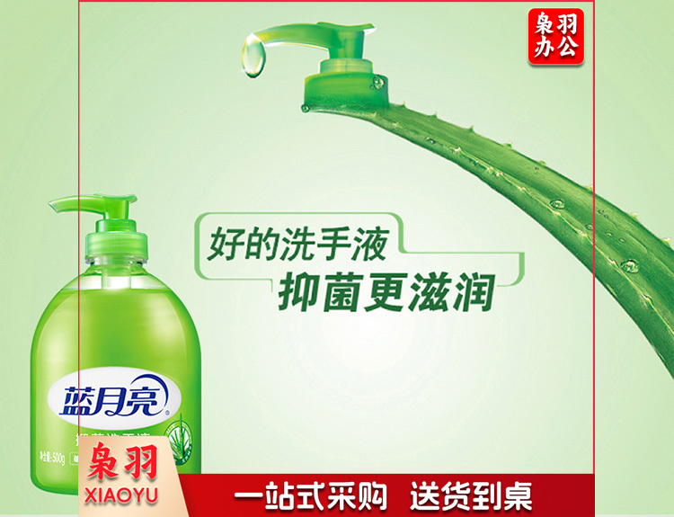 蓝月亮 洗手液500g