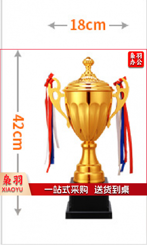 奖杯 运动会奖杯42*18cm 具体定制内容联系客服