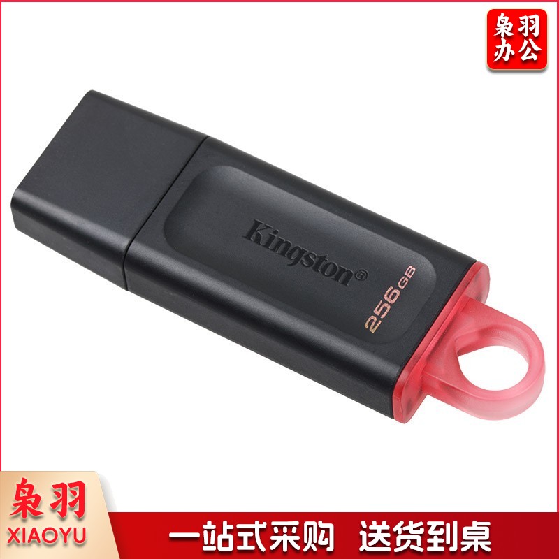 金士顿（Kingston）DTX/256GB U盘 USB3.2 Gen 1 DTX  256GB 黑色