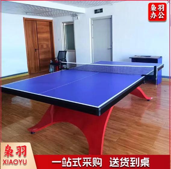 XY-pt03彩虹乒乓球台比赛用乒乓球案子