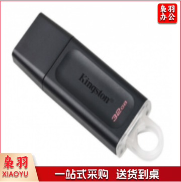 金士顿(Kingston) DTX 256GB USB3.2 U盘